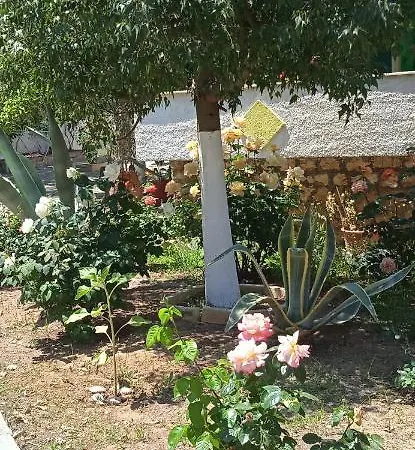 Apartman Lemon Garden *