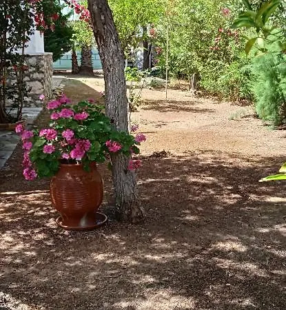 Lemon Garden *
