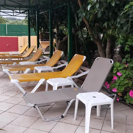 Lemon Garden